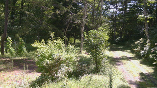 長野県菅平高原 ゆたか山荘 坂上 2026/08/31 10:00