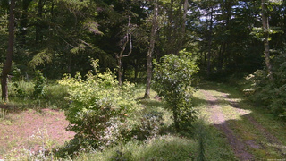 長野県菅平高原 ゆたか山荘 坂上 2026/08/31 10:45