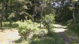 長野県菅平高原 ゆたか山荘 坂上 2026/08/31 11:00