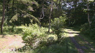 長野県菅平高原 ゆたか山荘 坂上 2026/08/31 11:15