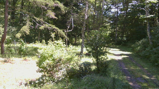 長野県菅平高原 ゆたか山荘 坂上 2026/08/31 11:30