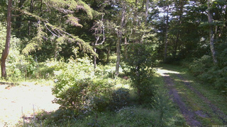 長野県菅平高原 ゆたか山荘 坂上 2026/08/31 12:15
