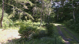 長野県菅平高原 ゆたか山荘 坂上 2026/08/31 12:30