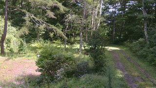 長野県菅平高原 ゆたか山荘 坂上 2026/08/31 12:45