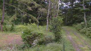 長野県菅平高原 ゆたか山荘 坂上 2026/08/31 13:30