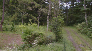 長野県菅平高原 ゆたか山荘 坂上 2026/08/31 13:45
