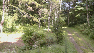 長野県菅平高原 ゆたか山荘 坂上 2026/08/31 14:00