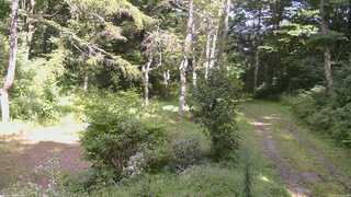 長野県菅平高原 ゆたか山荘 坂上 2026/08/31 14:15