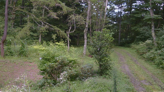 長野県菅平高原 ゆたか山荘 坂上 2026/08/31 14:30