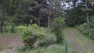 長野県菅平高原 ゆたか山荘 坂上 2026/08/31 14:45
