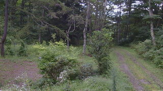 長野県菅平高原 ゆたか山荘 坂上 2026/08/31 15:00