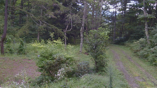 長野県菅平高原 ゆたか山荘 坂上 2026/08/31 15:15