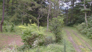 長野県菅平高原 ゆたか山荘 坂上 2026/08/31 15:30