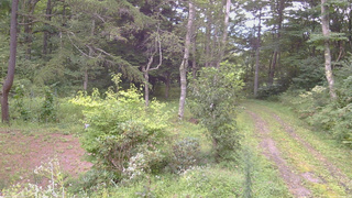 長野県菅平高原 ゆたか山荘 坂上 2026/08/31 15:45
