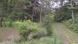 長野県菅平高原 ゆたか山荘 坂上 2026/08/31 16:00