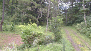 長野県菅平高原 ゆたか山荘 坂上 2026/08/31 16:15