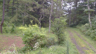 長野県菅平高原 ゆたか山荘 坂上 2026/08/31 16:30