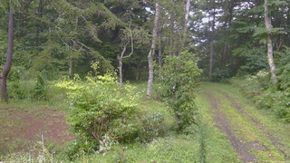 長野県菅平高原 ゆたか山荘 坂上 2026/08/31 16:45