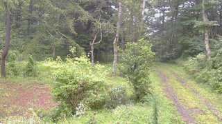 長野県菅平高原 ゆたか山荘 坂上 2026/08/31 17:00
