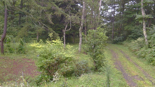 長野県菅平高原 ゆたか山荘 坂上 2026/08/31 17:15