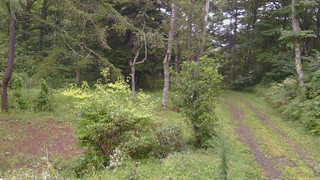 長野県菅平高原 ゆたか山荘 坂上 2026/08/31 17:30