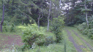 長野県菅平高原 ゆたか山荘 坂上 2026/08/31 17:45