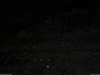 長野県菅平高原 ゆたか山荘 東側(坂下) 2026/09/01 05:00