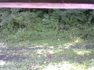 長野県菅平高原 ゆたか山荘 東側(坂下) 2026/09/01 08:15