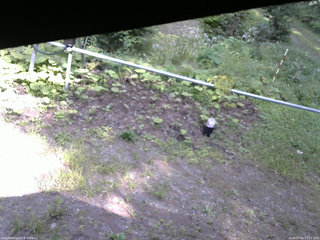 長野県菅平高原 ゆたか山荘 駐車場 2026/09/01 14:15