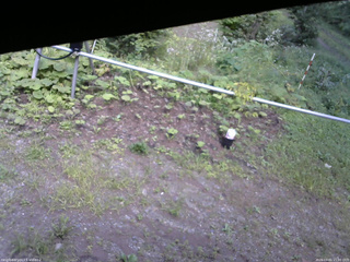長野県菅平高原 ゆたか山荘 駐車場 2026/09/01 15:00