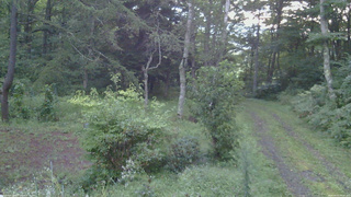 長野県菅平高原 ゆたか山荘 坂上 2026/09/01 05:15