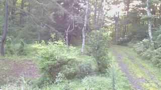 長野県菅平高原 ゆたか山荘 坂上 2026/09/01 05:30