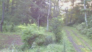長野県菅平高原 ゆたか山荘 坂上 2026/09/01 05:45