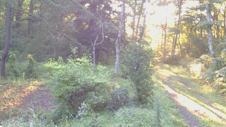 長野県菅平高原 ゆたか山荘 坂上 2026/09/01 06:00