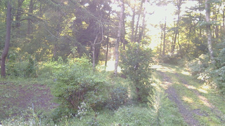 長野県菅平高原 ゆたか山荘 坂上 2026/09/01 06:30