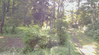 長野県菅平高原 ゆたか山荘 坂上 2026/09/01 06:45