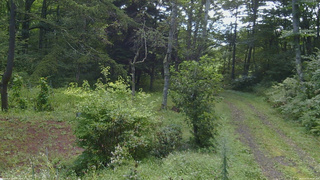 長野県菅平高原 ゆたか山荘 坂上 2026/09/01 07:45