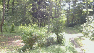 長野県菅平高原 ゆたか山荘 坂上 2026/09/01 09:00