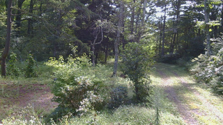 長野県菅平高原 ゆたか山荘 坂上 2026/09/01 09:15