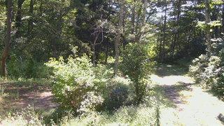 長野県菅平高原 ゆたか山荘 坂上 2026/09/01 09:30