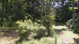 長野県菅平高原 ゆたか山荘 坂上 2026/09/01 09:45