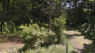 長野県菅平高原 ゆたか山荘 坂上 2026/09/01 10:00