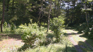 長野県菅平高原 ゆたか山荘 坂上 2026/09/01 10:15