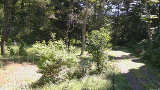長野県菅平高原 ゆたか山荘 坂上 2026/09/01 10:30