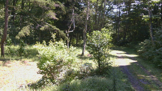長野県菅平高原 ゆたか山荘 坂上 2026/09/01 11:00