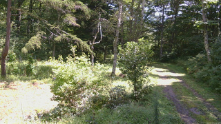 長野県菅平高原 ゆたか山荘 坂上 2026/09/01 11:15