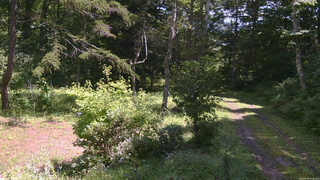 長野県菅平高原 ゆたか山荘 坂上 2026/09/01 11:30