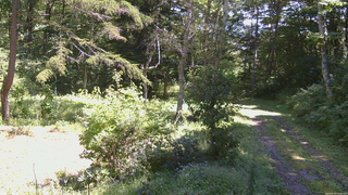 長野県菅平高原 ゆたか山荘 坂上 2026/09/01 11:45