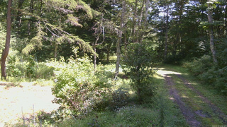 長野県菅平高原 ゆたか山荘 坂上 2026/09/01 12:00