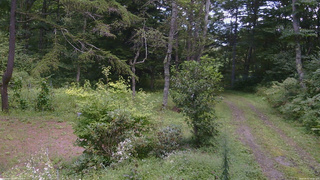 長野県菅平高原 ゆたか山荘 坂上 2026/09/01 12:15